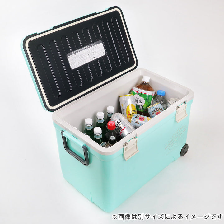 クーラーボックス27Lホリデーランドクーラーハードタイプ