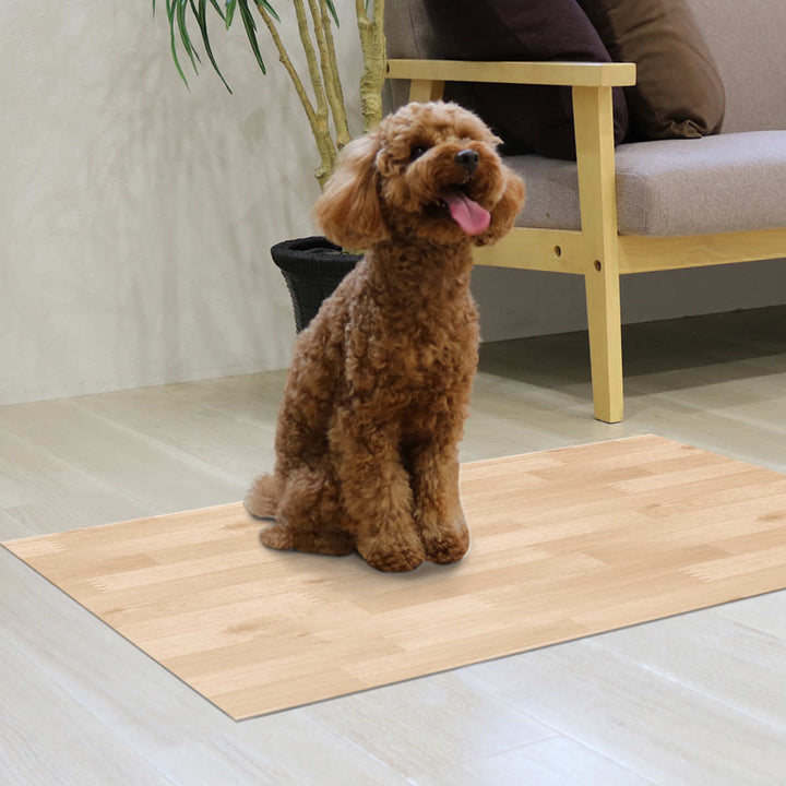 ペット用消臭防水シート60cm×90cm