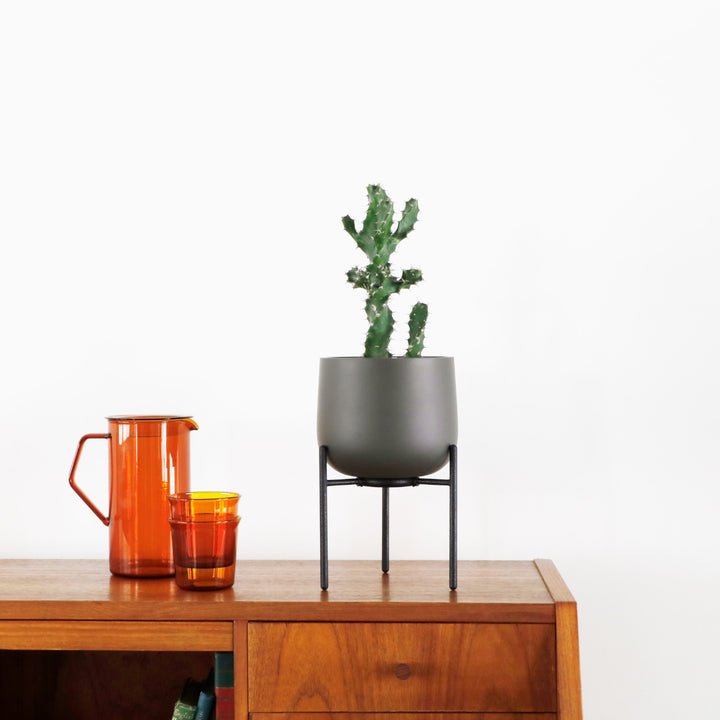 KINTO キントー プラントポット 211_ 135mm