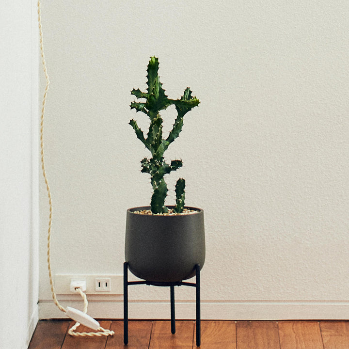 KINTO キントー プラントポット 211_ 135mm