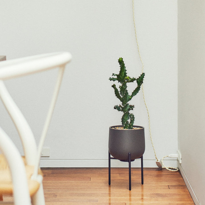 KINTO キントー プラントポット 211_ 135mm