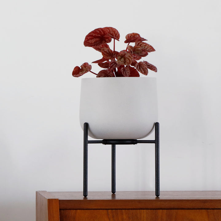 KINTO キントー プラントポット 211_ 135mm