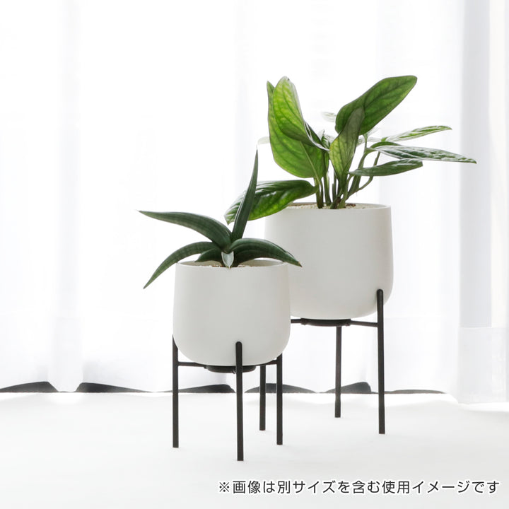 KINTO キントー プラントポット 211_ 135mm