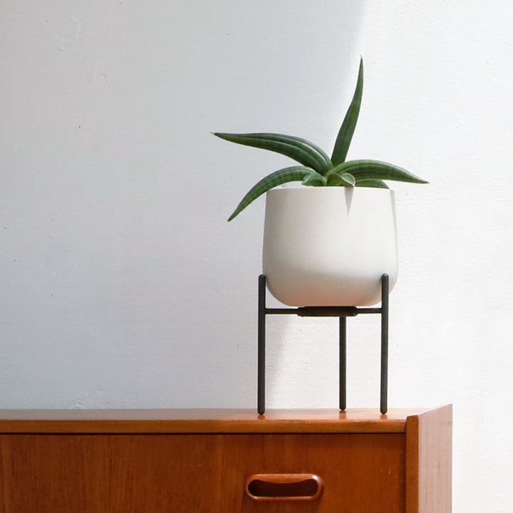 KINTO キントー プラントポット 211_ 135mm