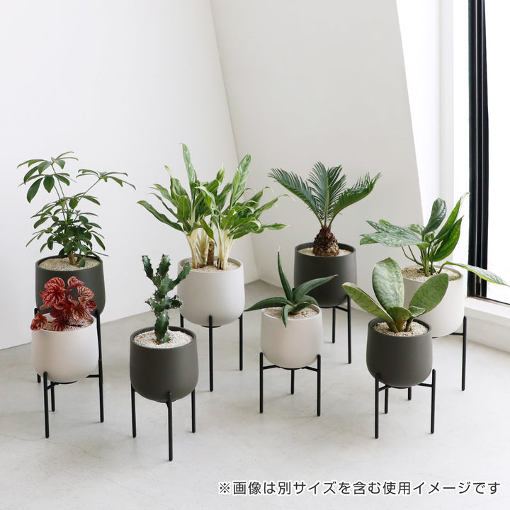 KINTO キントー プラントポット 211_ 135mm