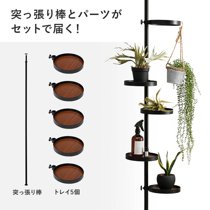 突っ張りポールラック丸型トレイ5個高さ調整見せる収納