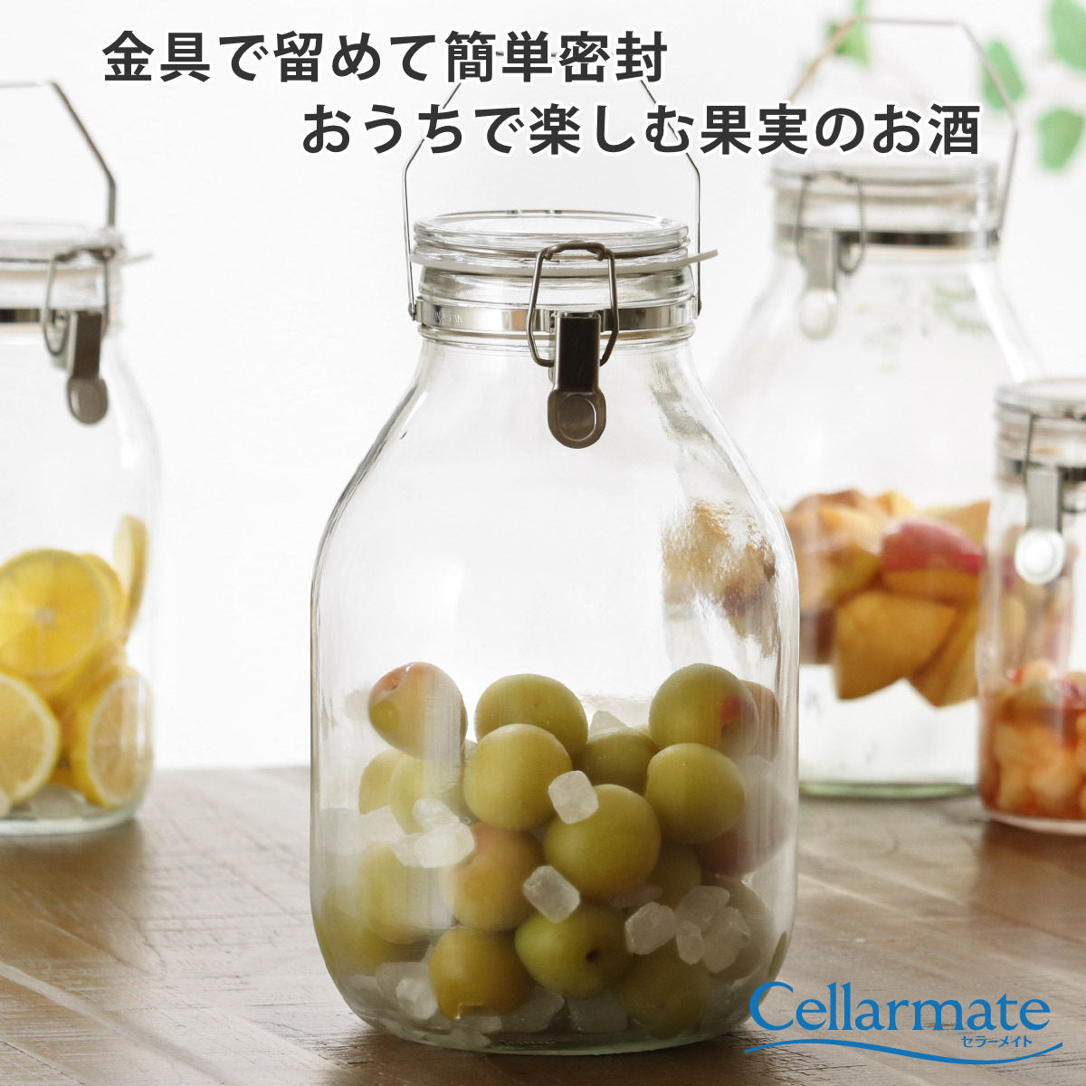 果実酒びん 4L 取手付密封びん セラーメイト – ハウジー