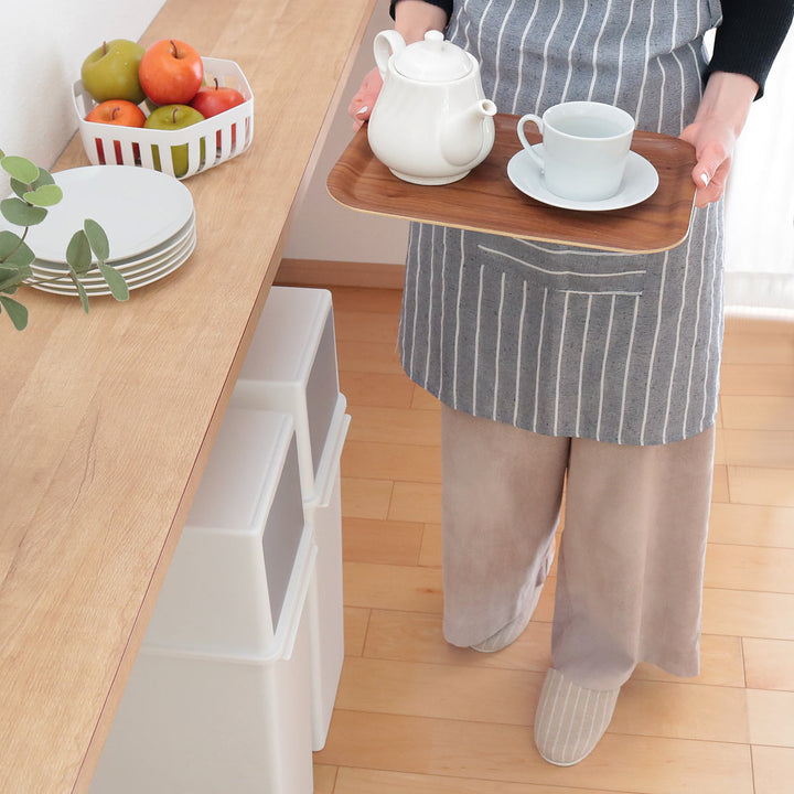 ゴミ箱17Lフロントオープントラッシュビンベーシックダスト