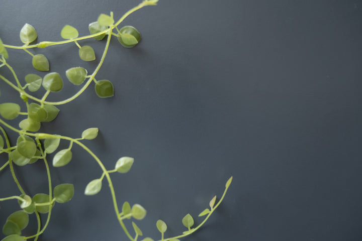 EZBOワイヤーラック2段幅61cm工具不要簡単組立モノトーン