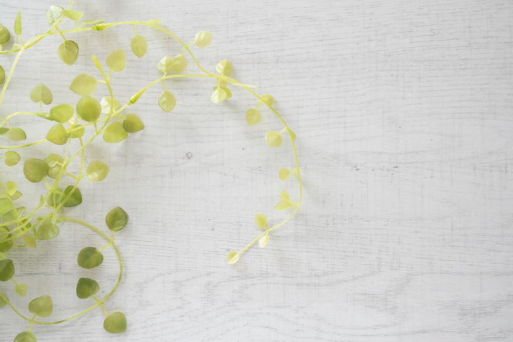 EZBOワイヤーラック3段幅61cm工具不要簡単組立モノトーン