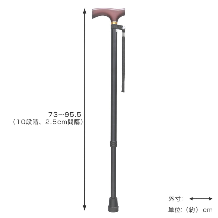 杖伸縮ベーシックブラック軽量