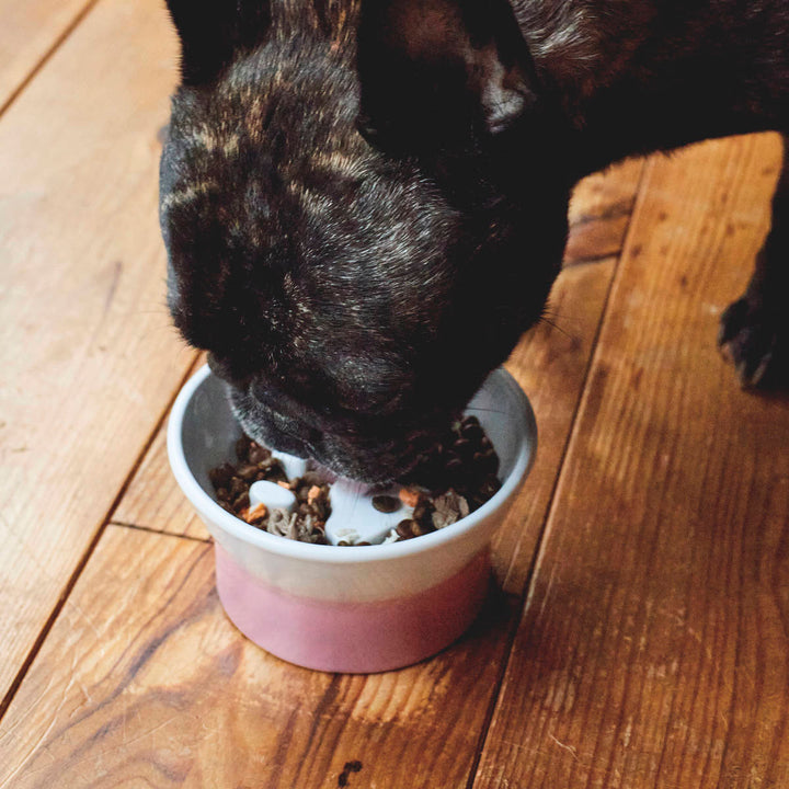 フードボウルアペティ早食い防止プレート犬猫肉球