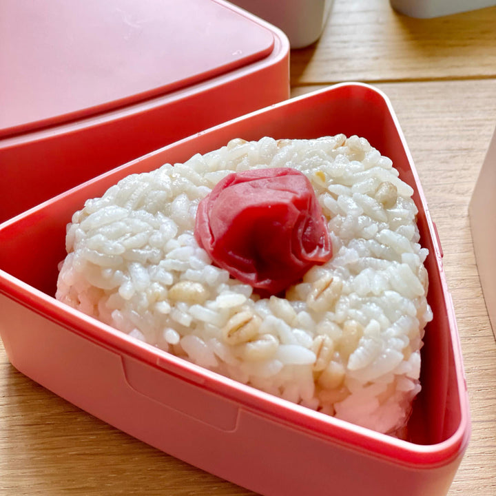 おにぎりケースGEL-COOLtriangle