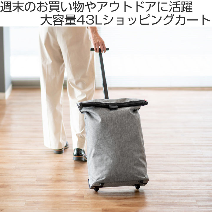 ショッピングカートライゼンタールreisenthelTROLLEYMFRAMETWISTSILVER