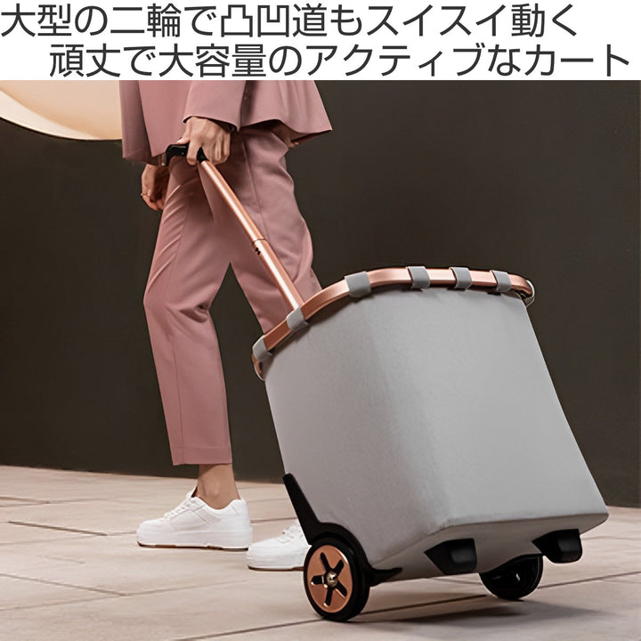 ショッピングカートreisenthelライゼンタールCARRYCRUISERFRAME