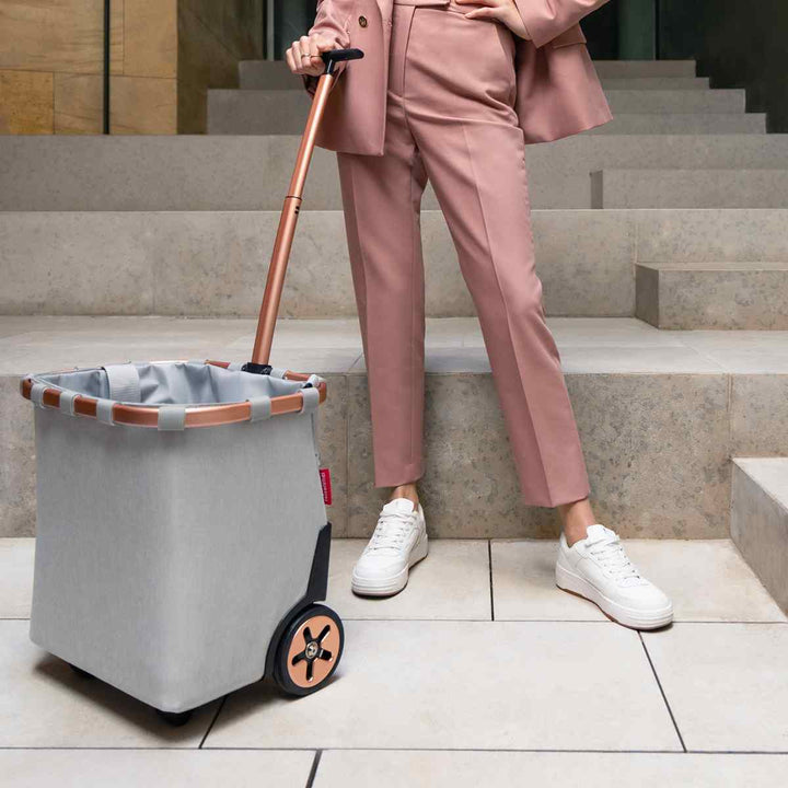 ショッピングカートreisenthelライゼンタールCARRYCRUISERFRAME