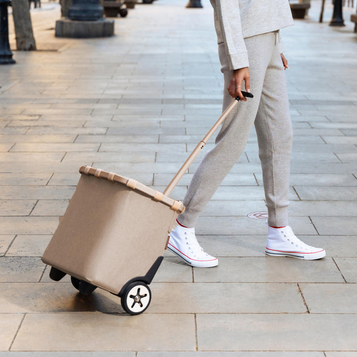 ショッピングカートreisenthelライゼンタールCARRYCRUISERFRAME