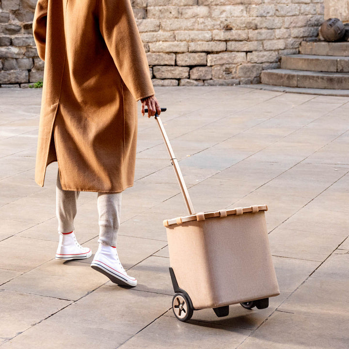 ショッピングカートreisenthelライゼンタールCARRYCRUISERFRAME