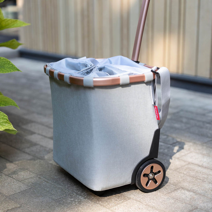 ショッピングカートreisenthelライゼンタールCARRYCRUISERFRAME