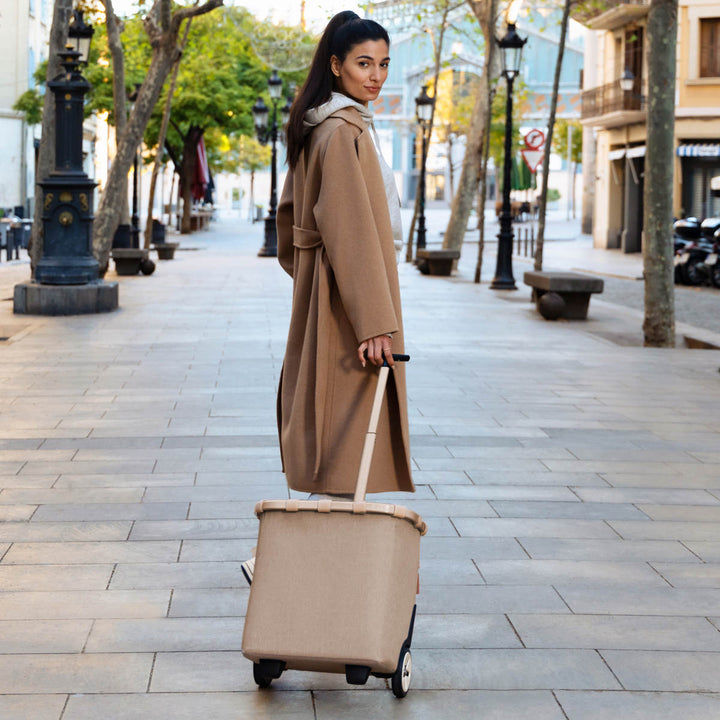 ショッピングカートreisenthelライゼンタールCARRYCRUISERFRAME