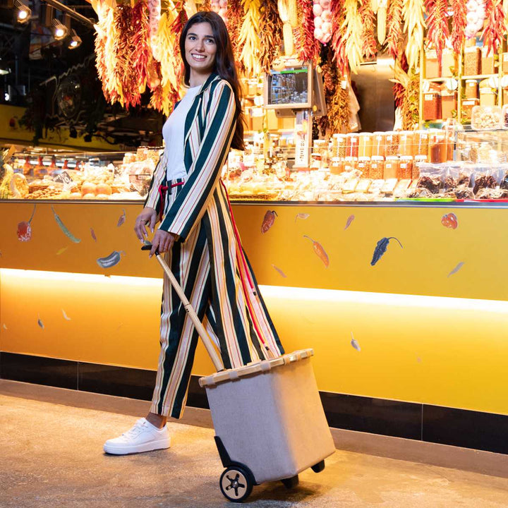 ショッピングカートreisenthelライゼンタールCARRYCRUISERFRAME