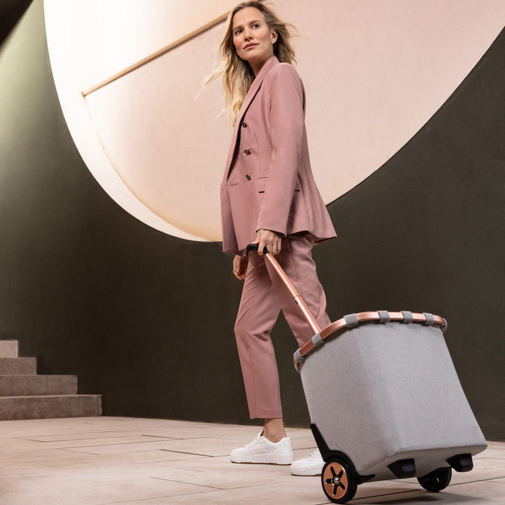 ショッピングカートreisenthelライゼンタールCARRYCRUISERFRAME