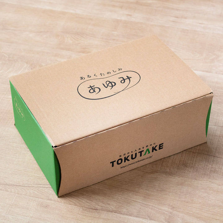 介護シューズあゆみエレガントマジック両足3ES～3L外出用