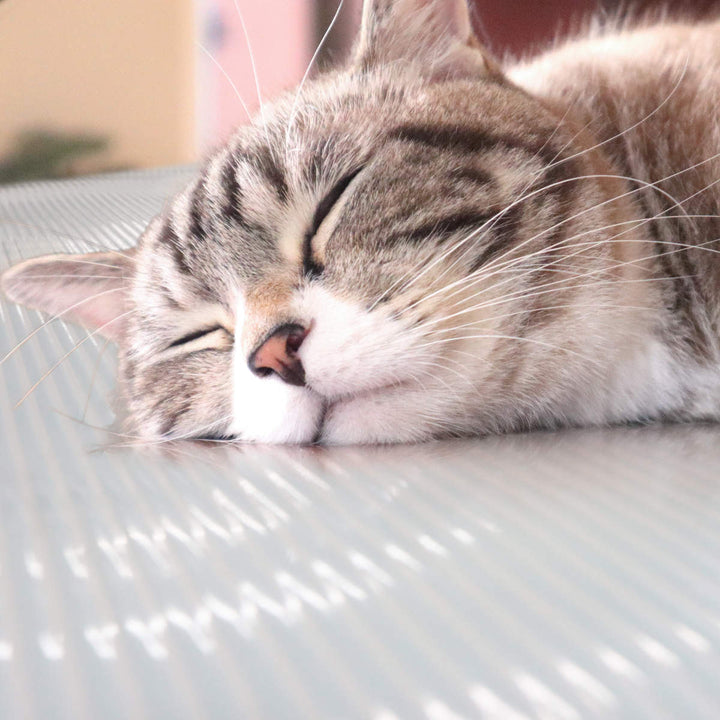 ひんやりマットペット犬猫冷感90cm×120cm