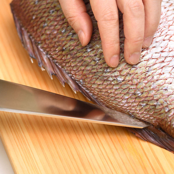 骨すき包丁15cm大人の焼魚日本製