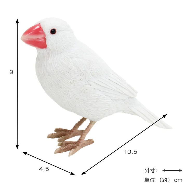 オブジェBIRDIEBILL文鳥マグネット付き