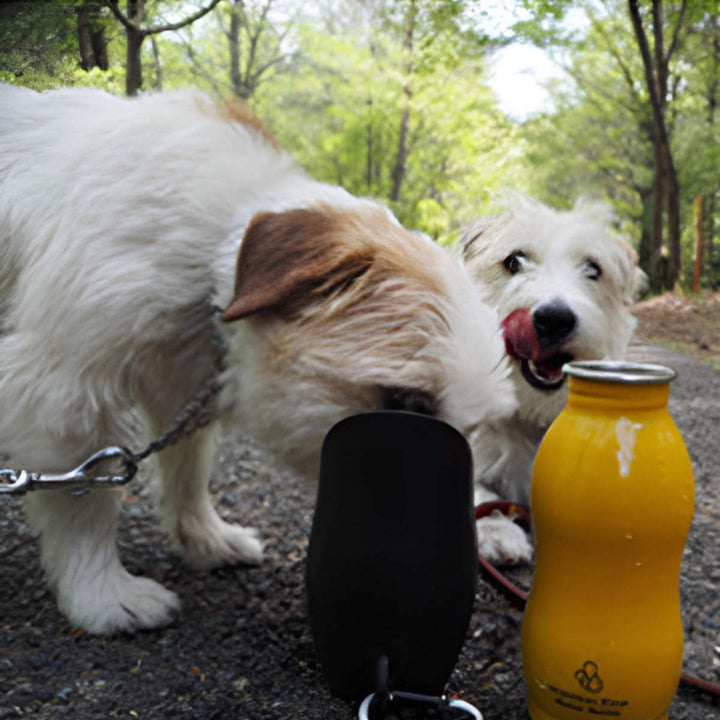 給水器ループステンレスボトルＳ350ml犬散歩ペット用