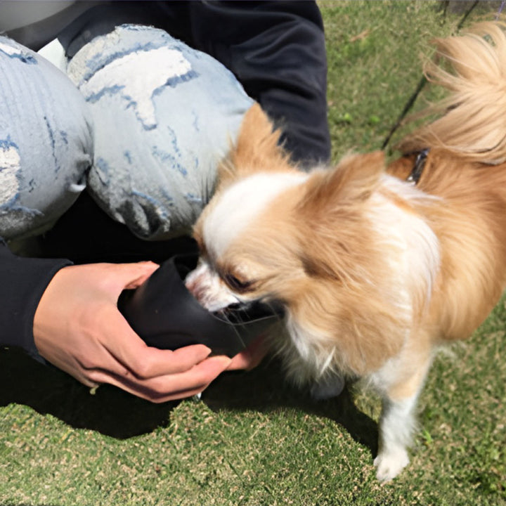 給水器ループステンレスボトルＳ350ml犬散歩ペット用