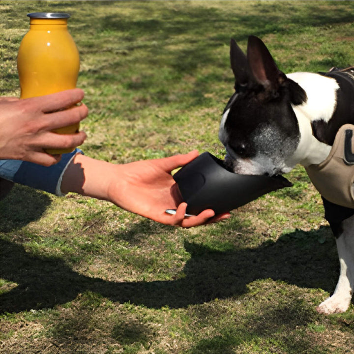 給水器ループステンレスボトルM500ml犬散歩ペット用