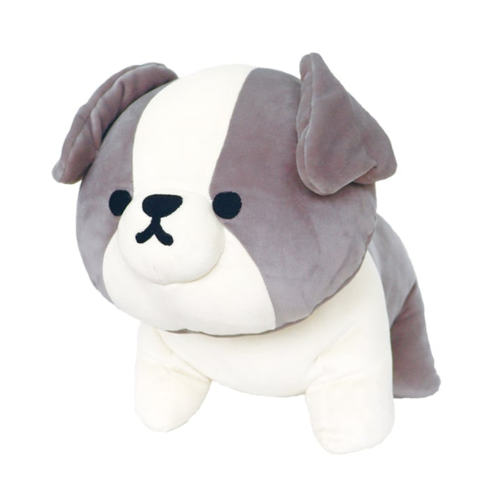 ボーダーコリー