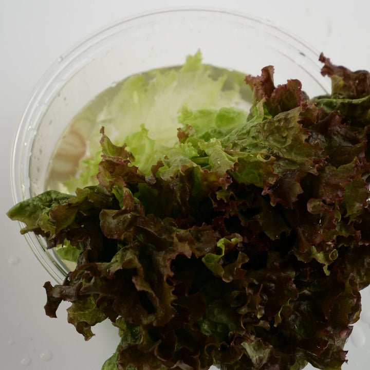 【アウトレット】野菜洗い750mlVeggiWashFruitTooトリガースプレー