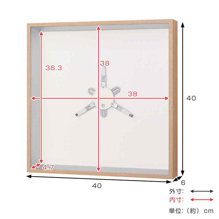 コレクションケース40×40cm壁掛けプレートお皿収納L409