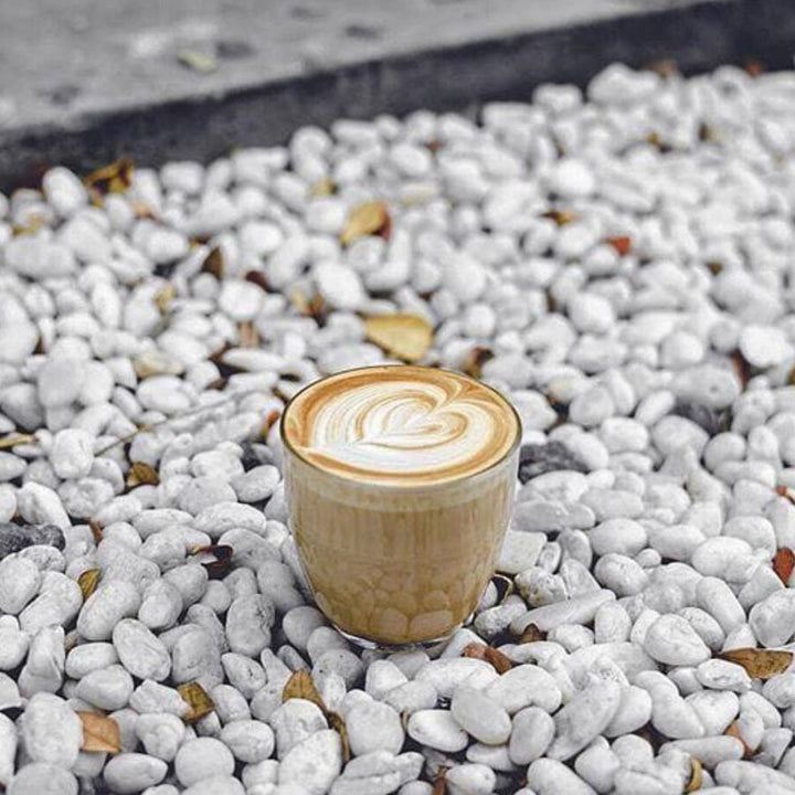 DURALEXデュラレックスジゴングラス220ml