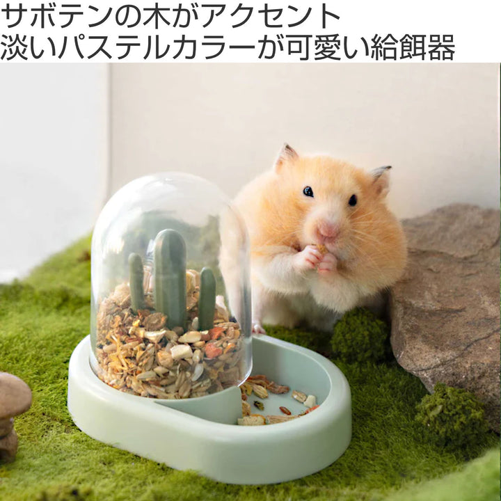 給餌器小動物ミオファンカクタスフィーダーハムスター鳥ペット