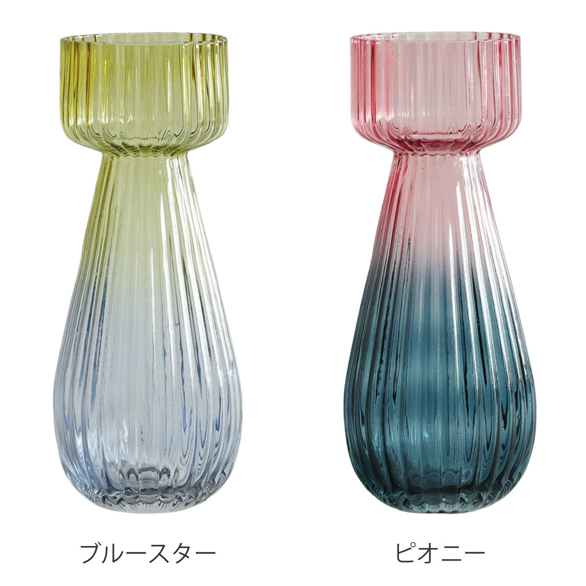花瓶 トーンフラワーベース ロング ガラス – ハウジー