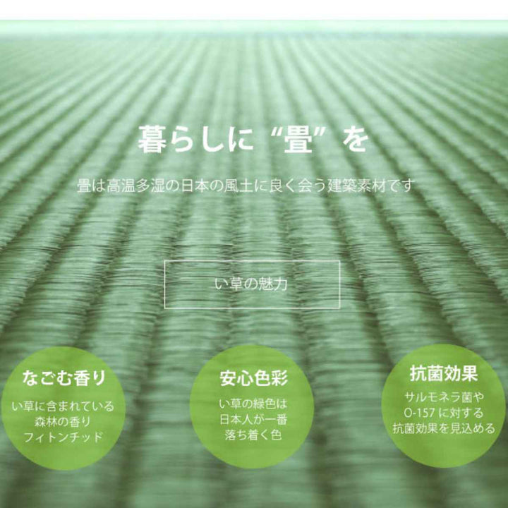 畳ベッドシングルステージタイプ天然い草日本製