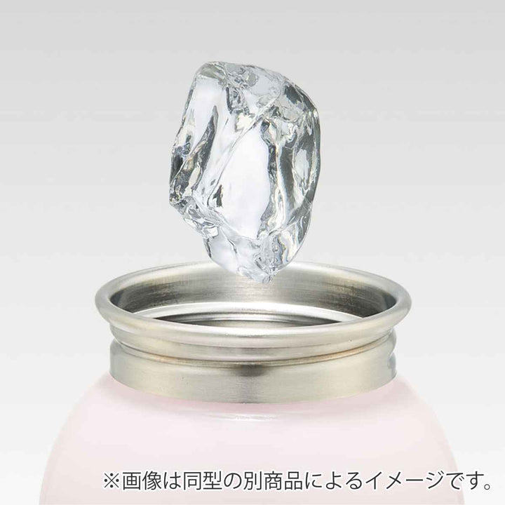 水筒580mlステンレス一層ボトルトム＆ジェリー