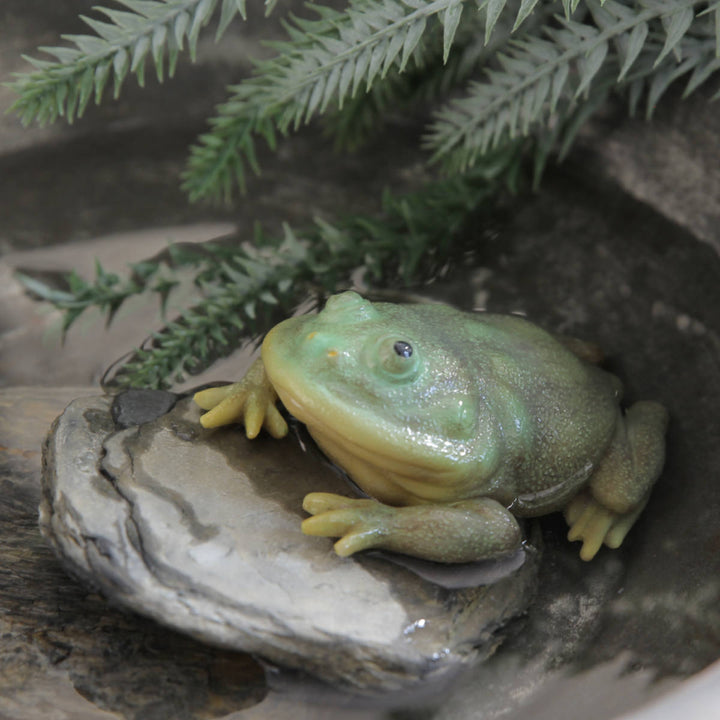 オブジェREPTILESMAGマルメタピオカガエル