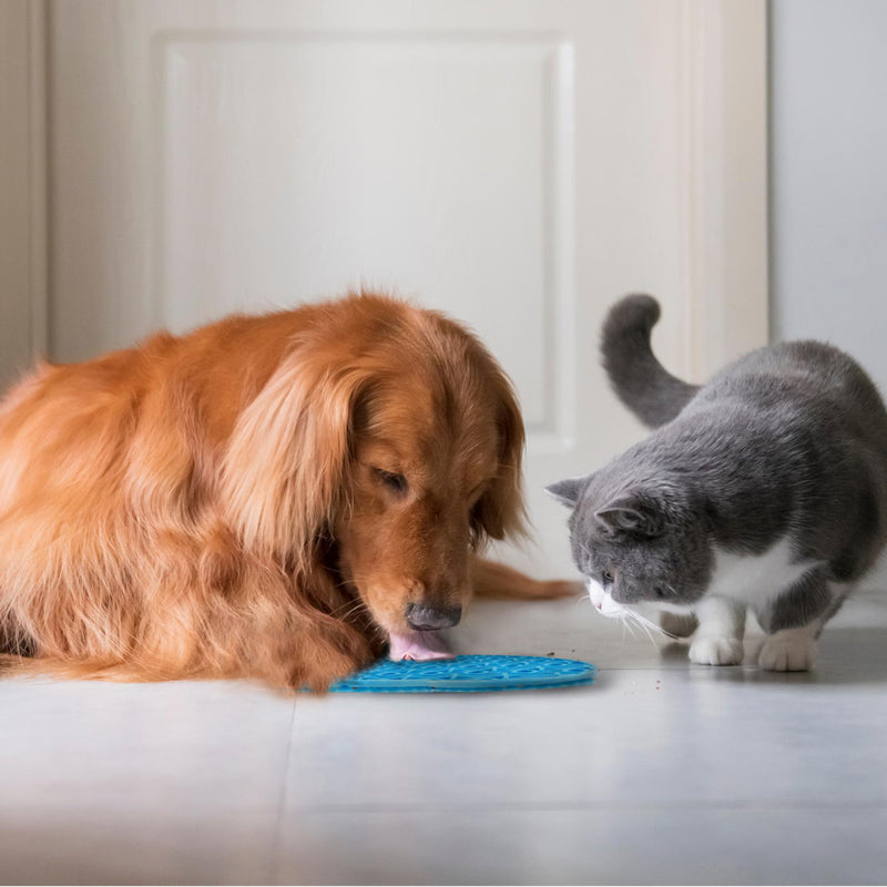 フードボウル早食い防止ループリックマットハートシリコン犬猫ペット