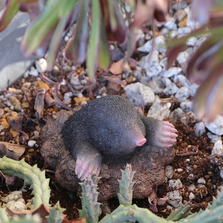 オブジェFORESTMAGモグラマグネット付き