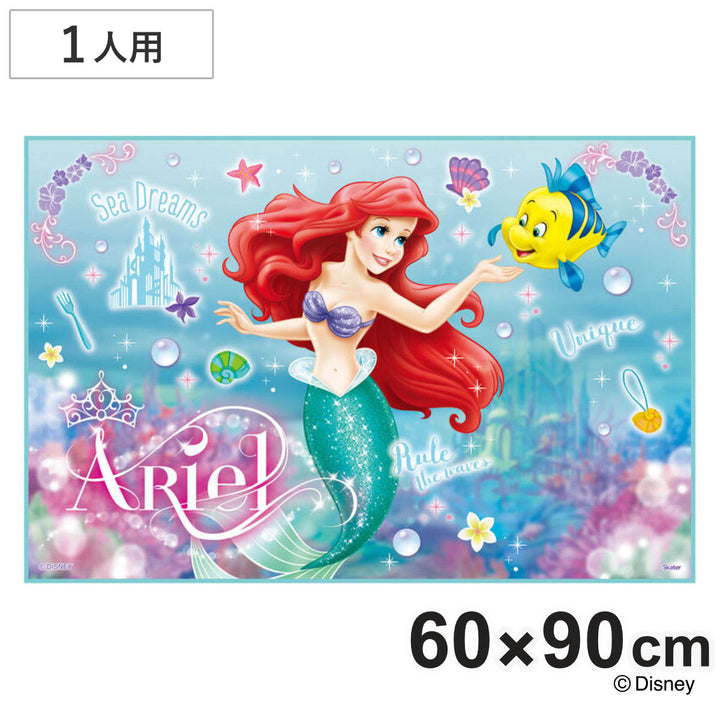 レジャーシート60×90cmアリエル24Sサイズ