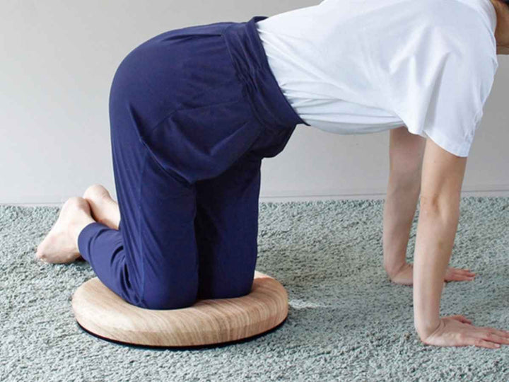 チェアパッドウェルネストツイストクッション直径40cm