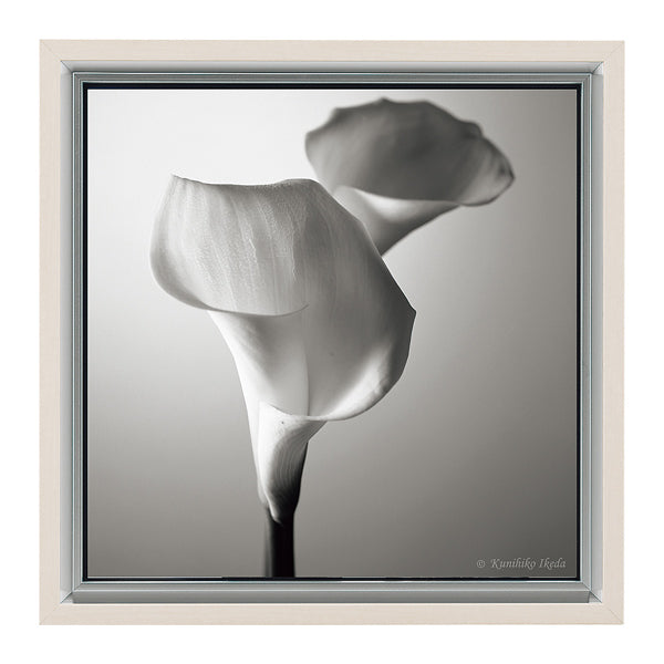 インテリアアート 池田邦彦 スタイリッシュフラワー 21 – ハウジー