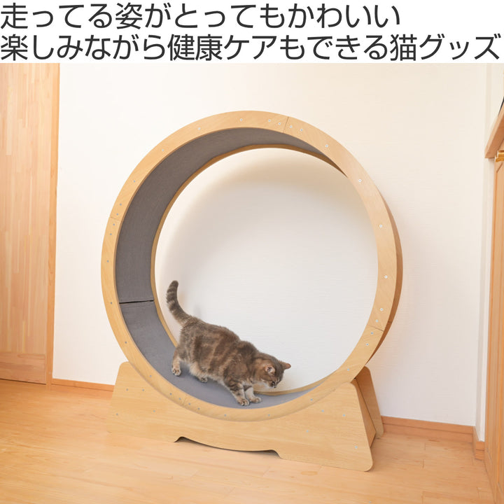 キャットホイール猫キャットランナーおもちゃ