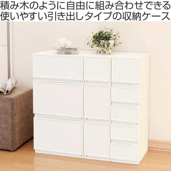 収納ケースチェストファボーレヌーヴォS240幅18×奥行36×高さ24.3cm