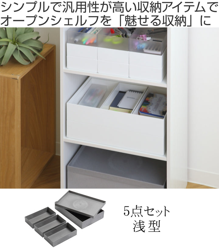 収納ケースタイディアップボックス浅型5点セット